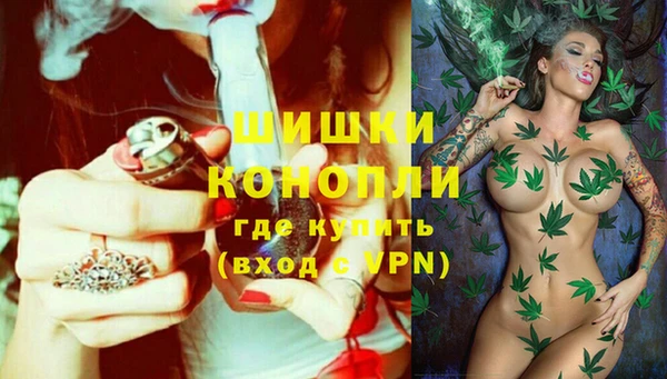 эйфоретик Аркадак