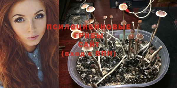 синтетический гашиш Балахна