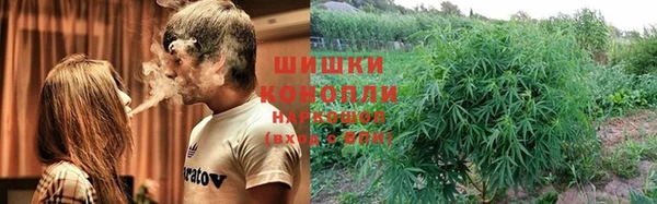 шишки Балабаново