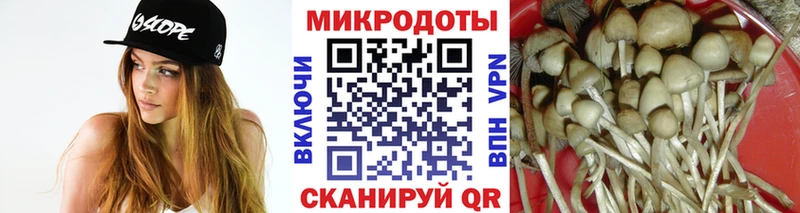 ОМГ ОМГ ссылка  Нижние Серги  Галлюциногенные грибы MAGIC MUSHROOMS 